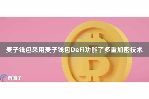 麦子钱包采用麦子钱包DeFi功能了多重加密技术