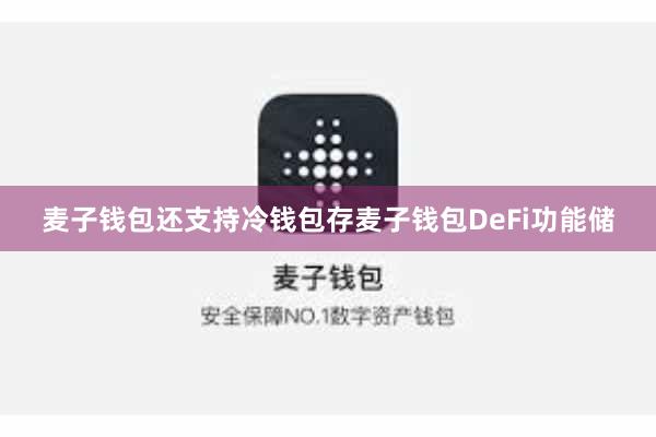 麦子钱包还支持冷钱包存麦子钱包DeFi功能储