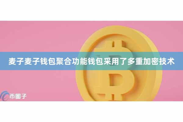 麦子麦子钱包聚合功能钱包采用了多重加密技术