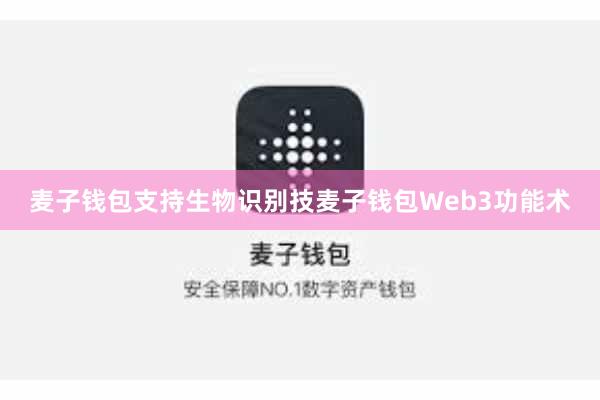 麦子钱包支持生物识别技麦子钱包Web3功能术