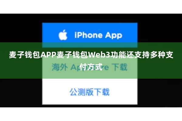 麦子钱包APP麦子钱包Web3功能还支持多种支付方式