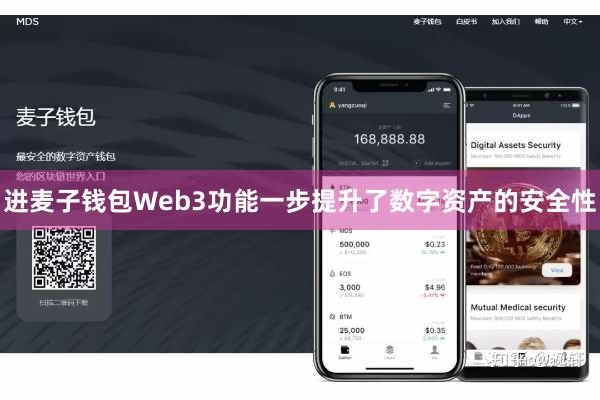 进麦子钱包Web3功能一步提升了数字资产的安全性