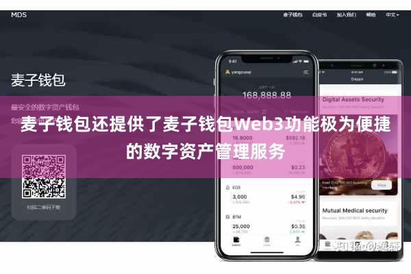 麦子钱包还提供了麦子钱包Web3功能极为便捷的数字资产管理服务