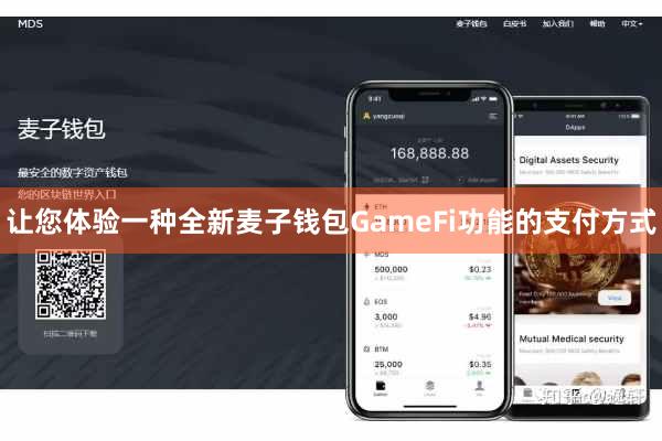 让您体验一种全新麦子钱包GameFi功能的支付方式