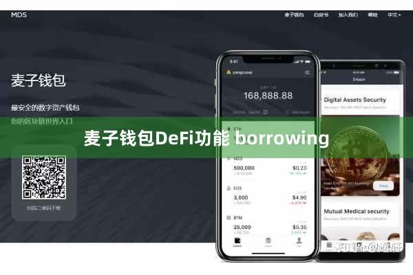 麦子钱包DeFi功能 borrowing