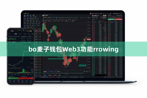 bo麦子钱包Web3功能rrowing