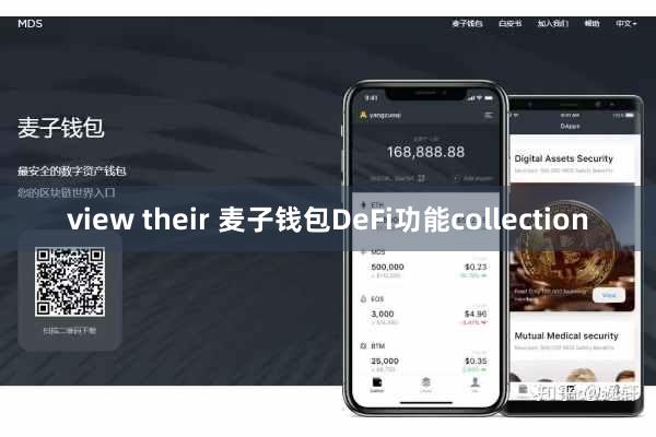 view their 麦子钱包DeFi功能collection