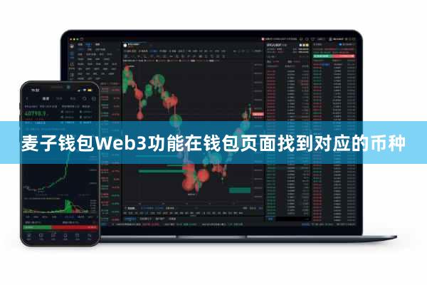 麦子钱包Web3功能在钱包页面找到对应的币种