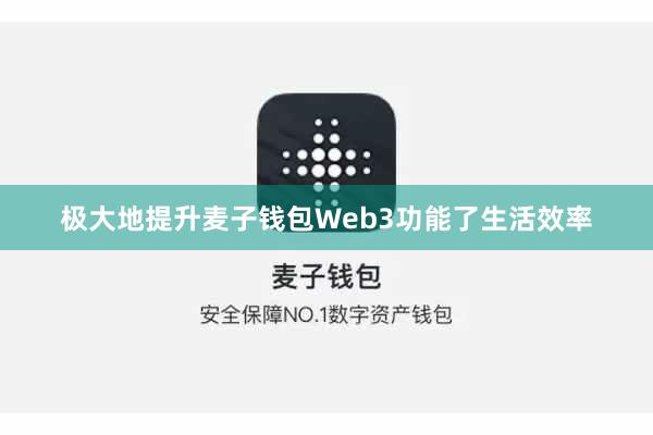 极大地提升麦子钱包Web3功能了生活效率