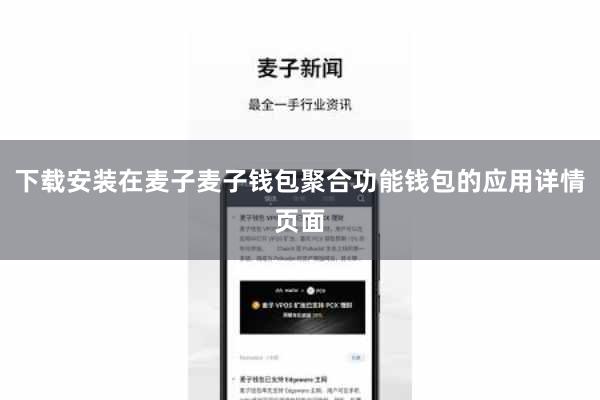 下载安装在麦子麦子钱包聚合功能钱包的应用详情页面