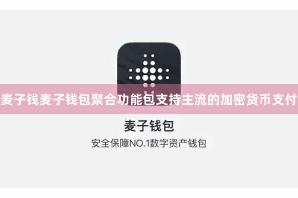 麦子钱麦子钱包聚合功能包支持主流的加密货币支付