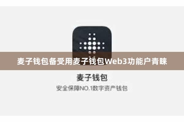 麦子钱包备受用麦子钱包Web3功能户青睐